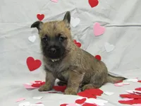 processed/a02f07db-c883-49e6-9b02-cf627b5360fb/listing/1736d464-f721-43d2-a070-ba86ba883ac7/e3ac99bd-ad26-4166-a51c-7da4b6b2b13d