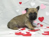 processed/a02f07db-c883-49e6-9b02-cf627b5360fb/listing/1736d464-f721-43d2-a070-ba86ba883ac7/eb610006-1962-4415-82e4-d8c1ea5b38fc