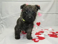 processed/a02f07db-c883-49e6-9b02-cf627b5360fb/listing/1f689fc3-c0f7-4606-96e1-250d2d25865b/bf63e9bc-ef7e-4354-a33f-6cc6e9f8b6a5