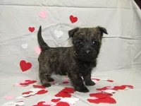 processed/a02f07db-c883-49e6-9b02-cf627b5360fb/listing/1f689fc3-c0f7-4606-96e1-250d2d25865b/d1f5d1a6-8cc6-4250-a306-53b864e37be6