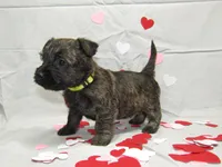 processed/a02f07db-c883-49e6-9b02-cf627b5360fb/listing/1f689fc3-c0f7-4606-96e1-250d2d25865b/e3a3a487-d574-4516-a36c-f33c1e98de75