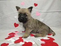 processed/a02f07db-c883-49e6-9b02-cf627b5360fb/listing/991f5ca6-26b5-40d8-8eea-65f9c41cd84d/47ccf320-48d4-4682-a9cc-bb9fa40fa1ea