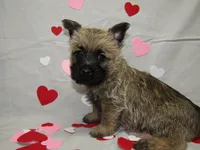 processed/a02f07db-c883-49e6-9b02-cf627b5360fb/listing/991f5ca6-26b5-40d8-8eea-65f9c41cd84d/d3c0f103-cbb4-40c3-8c3c-665ebf59d4ae