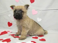 processed/a02f07db-c883-49e6-9b02-cf627b5360fb/listing/f473a5f7-09d2-44b9-be07-994bdb4a535c/5b53bc4e-e172-4f79-b126-2fea1c0885ef