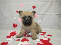 processed/a02f07db-c883-49e6-9b02-cf627b5360fb/listing/f473a5f7-09d2-44b9-be07-994bdb4a535c/5ec7b5e0-5faf-42ba-a645-558e9cad87b2