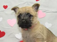 processed/a02f07db-c883-49e6-9b02-cf627b5360fb/listing/f473a5f7-09d2-44b9-be07-994bdb4a535c/a8ed6761-c578-40dd-921e-fc4e0abfdc13