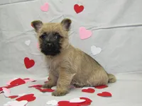 processed/a02f07db-c883-49e6-9b02-cf627b5360fb/listing/f473a5f7-09d2-44b9-be07-994bdb4a535c/c6bbec81-715d-413b-809c-286991c453c6