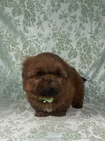 processed/a0305fc6-3cc8-4f74-87b6-6d45c8c60ab1/listing/21b6858a-95b4-4e46-8e20-c742c5779da4/2319d676-e1af-4af2-a0df-eb537904e052