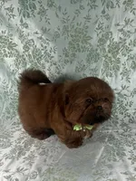 processed/a0305fc6-3cc8-4f74-87b6-6d45c8c60ab1/listing/21b6858a-95b4-4e46-8e20-c742c5779da4/272b25ac-35c0-40ae-8035-01d261c06ca1