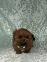 processed/a0305fc6-3cc8-4f74-87b6-6d45c8c60ab1/listing/21b6858a-95b4-4e46-8e20-c742c5779da4/29906485-7b37-49aa-a301-a61532d93031