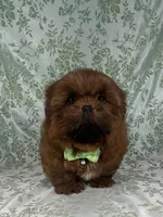 processed/a0305fc6-3cc8-4f74-87b6-6d45c8c60ab1/listing/21b6858a-95b4-4e46-8e20-c742c5779da4/29a63fc1-cd87-4504-b601-01cc281660dc