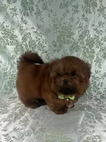 processed/a0305fc6-3cc8-4f74-87b6-6d45c8c60ab1/listing/21b6858a-95b4-4e46-8e20-c742c5779da4/36cc50c2-2a54-4bef-9bc2-a32b32620bd2