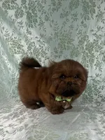 processed/a0305fc6-3cc8-4f74-87b6-6d45c8c60ab1/listing/21b6858a-95b4-4e46-8e20-c742c5779da4/b1c719e1-6bc9-433a-b059-c657b6518716