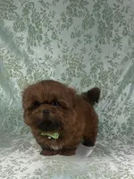 processed/a0305fc6-3cc8-4f74-87b6-6d45c8c60ab1/listing/21b6858a-95b4-4e46-8e20-c742c5779da4/c607d337-4196-46d3-a9f1-bb53490ce4b4