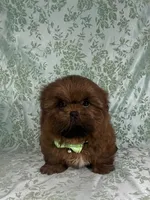 processed/a0305fc6-3cc8-4f74-87b6-6d45c8c60ab1/listing/21b6858a-95b4-4e46-8e20-c742c5779da4/cc2bb1f6-c0c8-4e07-85b5-a2ae6e584ffe