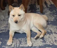 processed/a033cdcc-8f54-47fc-9e0f-c70569e33d3b/facility/d87ceb76-35e0-4ddf-a9ce-735e575b38ff