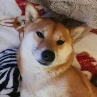 processed/a033cdcc-8f54-47fc-9e0f-c70569e33d3b/facility/fa923766-0881-4140-9d50-05be9a77ff8b