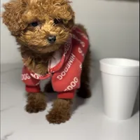 processed/a0547f00-9065-4fac-8043-7c30b126b276/facility/0ad44881-39ae-44b3-85c3-a054447e1143