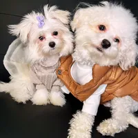 processed/a0547f00-9065-4fac-8043-7c30b126b276/facility/2ad9ac09-8bdb-4661-b2d2-65bee02ae8af