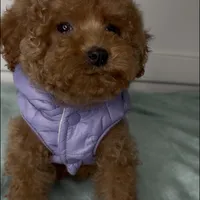 processed/a0547f00-9065-4fac-8043-7c30b126b276/facility/31dcd620-61b4-4b44-b53b-737c51781b35