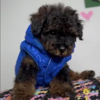 processed/a0547f00-9065-4fac-8043-7c30b126b276/facility/39c778f5-5a24-4453-8bb5-7e01c87c6955