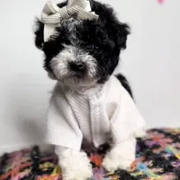 processed/a0547f00-9065-4fac-8043-7c30b126b276/facility/5ed1e1c2-028d-45ba-9930-ad4b8fc81d3c