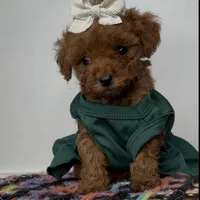 processed/a0547f00-9065-4fac-8043-7c30b126b276/facility/61bf7f92-87a4-46bb-9880-2502169cff87