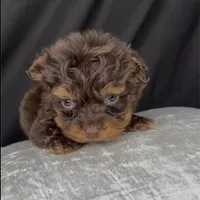 processed/a0547f00-9065-4fac-8043-7c30b126b276/facility/7f76c87b-80da-419d-bda1-57c7b44b5883