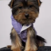 processed/a0547f00-9065-4fac-8043-7c30b126b276/facility/8efa7e72-e346-4802-a0d9-0b0da0850319