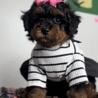 processed/a0547f00-9065-4fac-8043-7c30b126b276/facility/924392e7-1907-4bc1-bc0a-eb77d9dee4a1