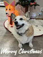 processed/a056dfd5-c4e6-4d0e-aebc-2173370e2340/facility/13517285-0928-4361-b542-0ea34b6924f8