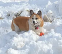 processed/a056dfd5-c4e6-4d0e-aebc-2173370e2340/facility/4d771867-c5bd-4f10-bf76-525b33591c26