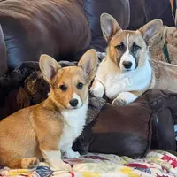 processed/a056dfd5-c4e6-4d0e-aebc-2173370e2340/facility/954c9d26-86a1-49ba-addd-0a8aa0232b1d