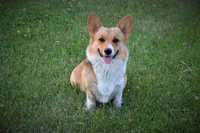 processed/a056dfd5-c4e6-4d0e-aebc-2173370e2340/facility/a900393e-5754-4404-b011-a9b4ce45edc8