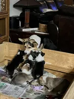 processed/a056dfd5-c4e6-4d0e-aebc-2173370e2340/facility/b0f19f26-7c13-494f-b2ab-e1bbf958bd3d