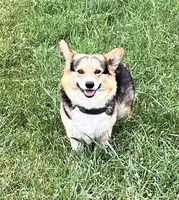 processed/a056dfd5-c4e6-4d0e-aebc-2173370e2340/facility/b0fea480-a913-4c21-9d52-df06cf85603b