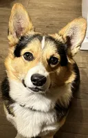 processed/a056dfd5-c4e6-4d0e-aebc-2173370e2340/facility/c2bfe1e1-38e0-4f1a-ae73-ff55472afc4b