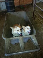 processed/a056dfd5-c4e6-4d0e-aebc-2173370e2340/facility/cd25f336-e685-48ab-bd8a-4dd76937d8c1