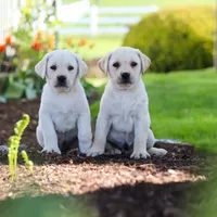 processed/a0783740-7248-4ace-853e-d7bcb063df93/facility/08b1fc60-94f1-4ca6-908f-46b2018605e9