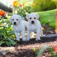 processed/a0783740-7248-4ace-853e-d7bcb063df93/facility/2ff36a4a-c488-4967-b4dd-e863071d641f