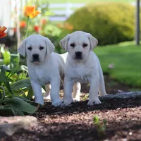 processed/a0783740-7248-4ace-853e-d7bcb063df93/facility/6763de13-83f8-4507-8b5c-b2477d3ea157