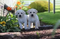 processed/a0783740-7248-4ace-853e-d7bcb063df93/facility/6763de13-83f8-4507-8b5c-b2477d3ea157