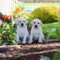 processed/a0783740-7248-4ace-853e-d7bcb063df93/facility/e69ecd08-369d-4340-a1c7-c7a82b8e774b