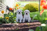 processed/a0783740-7248-4ace-853e-d7bcb063df93/facility/e69ecd08-369d-4340-a1c7-c7a82b8e774b