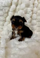 processed/a07e47f3-711e-414c-b6c2-ab675f862c4c/listing/8aa612c8-919e-4b74-97d8-41ba12a8bd95/49dbe9eb-f113-4b8a-8a52-ecf4da133f4e