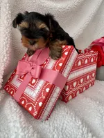 processed/a07e47f3-711e-414c-b6c2-ab675f862c4c/listing/8aa612c8-919e-4b74-97d8-41ba12a8bd95/93fd8ddf-6f40-4476-8493-233c825a66a5