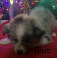 processed/a0848555-232b-4d40-9bbd-a97ef96359af/listing/0b2b382b-c7a1-46a4-8344-e58e3d6d6939/06363d78-0284-4e6a-86ed-ba0b48bcbc12