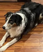 processed/a0848555-232b-4d40-9bbd-a97ef96359af/listing/0b2b382b-c7a1-46a4-8344-e58e3d6d6939/0a1b0ad8-8ac0-479d-957b-07d5ed934b28