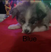 processed/a0848555-232b-4d40-9bbd-a97ef96359af/listing/0b2b382b-c7a1-46a4-8344-e58e3d6d6939/3ba004e1-bfc9-44cb-ba7b-2502a0575094