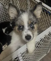 processed/a0848555-232b-4d40-9bbd-a97ef96359af/listing/0b2b382b-c7a1-46a4-8344-e58e3d6d6939/5b0146f5-e6af-4b4e-8c3d-4ca8320cc3e7